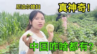 尼泊爾媳婦遠嫁中國農村，感嘆生活太幸福：啥都有，條件真好!