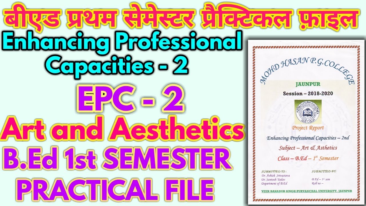 Art And Aesthetics B.ed File In Hindi | Epc File B.ed 1st Semester | B ...