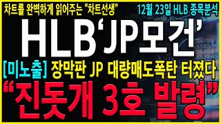 [HLB 에이치엘비] \