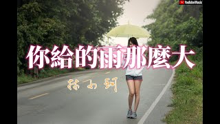 林小珂 - 你給的雨那麼大《你給的雨那麼大,淋濕我剛癒合的傷疤,然後用傷害我的方式教會我長大》【動態歌詞lyrics】