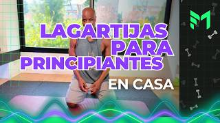 lagartijas para principiantes