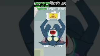 প্রত্যেক প্রাণীকেই মৃত্যুর স্বাদ গ্রহণ করতে হবে