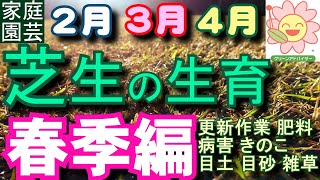 春の芝生の手入れ2月 3月 4月 更新作業/病害別対処法/肥料/資材/土/きのこ？他　家庭園芸普及協会グリーンアドバイザー オンラインセミナー編