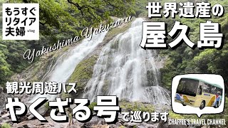 【世界遺産屋久島】観光周遊バス やくざる号で巡る《もうすぐリタイア夫婦vlog》World Heritage Yakushima / CHAFFEE’S TRAVEL CHANNEL