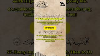 Surah Al-Ankabut (29:56-57) | Beautiful Recitation by Abdul Rahman Mossad | ISLAMIC XYZ