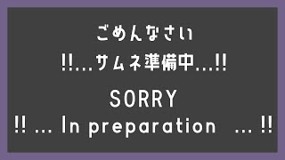 【スプラトゥーン2】V４人でフェスコラボ！【新人Vtuber】