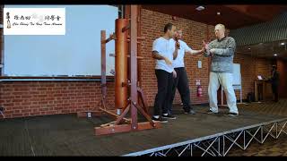 Wooden Dummy - Part 1 -  important ideas for CST Wing Chun followers