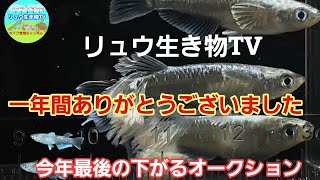 リュウ生き物tv  メダカ・生き物　ライブ配信専用 がライブ配信中！