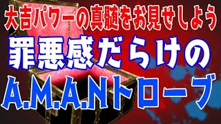 【FF11】罪悪感だらけのAMANトローブ