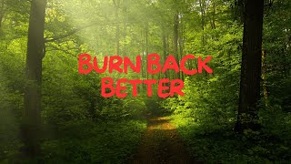 BURN BACK BETTER