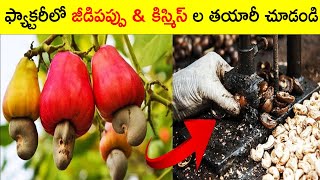 ఫ్యాక్టరీల్లో వీటిని ఎలా తయారు చేస్తారు? Made in factory | Factory made | Food Factory