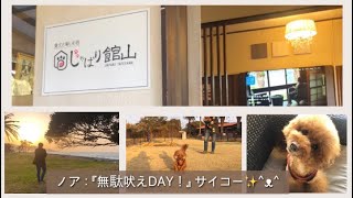 【愛犬3匹と旅行】じゃぱり館山泊（前編）