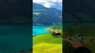 Beautiful nature #video #youtube #beautiful #youtubeshorts #videoshorts #nature #amazing #tiktok