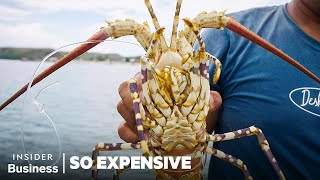Why 6 Of The World's Priciest Seafoods Are So Expensive | So Expensive | Insider Business