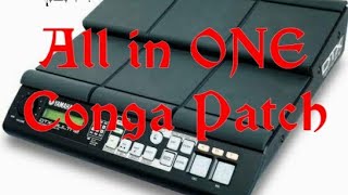 conga patch editing|yamaha dtx multi 12|indian tones