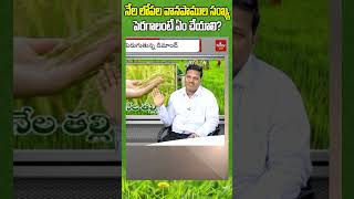 నేల లోపల వానపాముల సంఖ్యపెరగాలంటే ఏం చేయాలి? | #hmtvagri #nelatalli