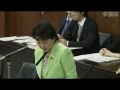 2011.08.04 参議院 外交防衛委員会 猪口邦子