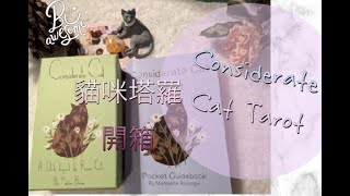 📦開箱分享🐱貓咪塔羅🐱Considerate Cat Tarot Unboxing給你現在所需的卡牌訊息🔮少見塔羅牌分享