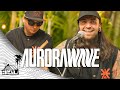 Aurorawave - Meant to Be (Live Music) | Sugarshack Sessions