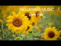 Beautiful Relaxing Music - Soothing Melodies, Mindful and Peaceful Piano Music by Kenio Fuke.