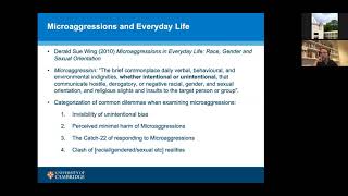 Micro-aggressions and macro-grievances: conceptualising everyday violence and inequalities