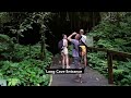 mulu national park videography and photography final episode