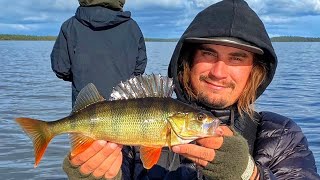 AHVENENKALASTUSTA KUUSAMOSTA | KIRKKAIDEN VESIEN KASVATIT | KUUSAMO TOUR | ORKA SHAD TAIL | RUKA