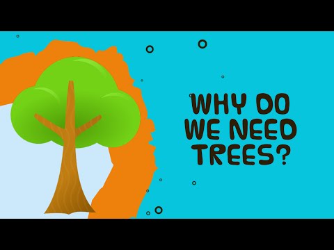 Why Do We Need Trees? - Facts about trees for kids Why Do We Need Trees? - Facts about trees for kids