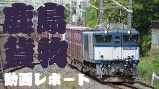 【鹿島貨物】2020年1月(1)　愛知EF64の顔ぶれ大きく変わらず！正月明けの鹿島貨物を追った！