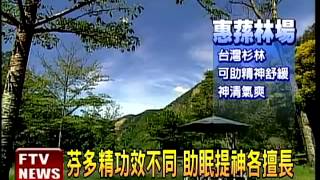 芬多精大不同 溪頭助眠、奧萬大提神－民視新聞