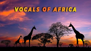Vocals of Africa┇Traditional African Music┇Study & Relax