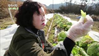 한국기행 - Korea travel_어서와라,봄 4부 봄은 맛있다_#002