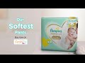 Babies Love Soft - Our Softest Pampers Premium Care Pants