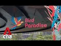 Bird Paradise welcomes 3,000 visitors on first day of soft opening