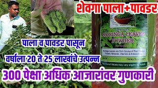 शेवगा पाला+पावडर शेती,300+आजारांवर गुणकारी,वर्षाला 20 ते 25 लाखांचा नफा #moringa power vision varta