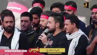 Ali Ali Akbar Ali Ali || Ahmad Raza Nasiri || Arbaeen Hussaini 2020