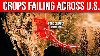 This Is The Worst Crop Crisis In Recorded U.S. History — And No One Is Talking About It