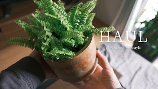 【HAUL】SUB植物がある暮らしの日常｜観葉植物関連の購入品を紹介【vlog】