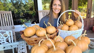 How to Grow Seminole Pumpkins. *The Best Pumpkin to Grow in the South!*