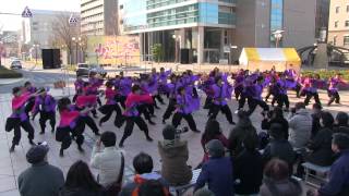 第14回浜松がんこ祭 1日目(2014/3/15)「神戸大学よさこいチーム山美鼓」