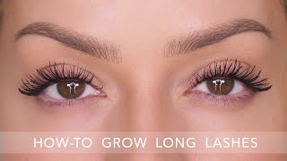 How To Grow Long Eyelashes! Guaranteed Result | Shonagh Scott - Xlash Spon