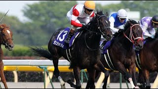 第１５回　ＮＨＫマイルカップ （ＧⅠ）　ダノンシャンティ　牡３　57　安藤勝己　2010.5.9　出走馬：ダイワバーバリアン、リルダヴァル、サンライズプリンス、キョウエイアシュラ、エーシンホワイティ他