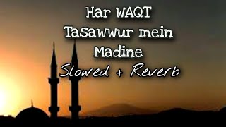 HAR WAQT Tasawwur mein Madine ki Gali ho Slowed and Reverb #slowedandreverb #naatsharif
