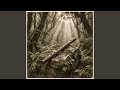 Ancestral Energy Rising