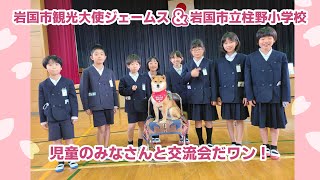 岩国市立柱野小学校＆岩国市観光大使ジェームス交流会だワン！嵐山の柴犬ジェームス！～Shiba inu james by kyoto～