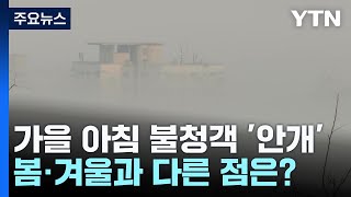 [날씨] 가을 아침의 불청객 '안개'...봄·겨울과 다른 점은? / YTN