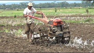 Live ‼️ New Traktor Sawah Mengolah Lahan Garapan