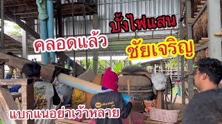 [ Rocket Thailand ]คลอดบั้งไฟแสนทีมงานชัยเจริญ