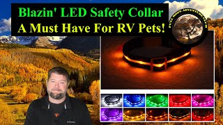 Blazin' LED Safety Dog Collar Review - Best dog collar 2020