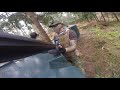 airsoft sniper domination gameplay u0026 don t take your hits game cyma cm702 cm030 scopecam